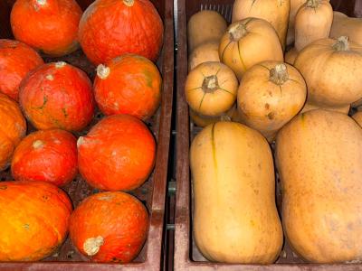 Potimaron, butternuts