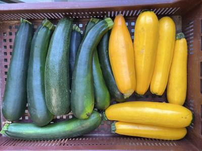 Courgettes