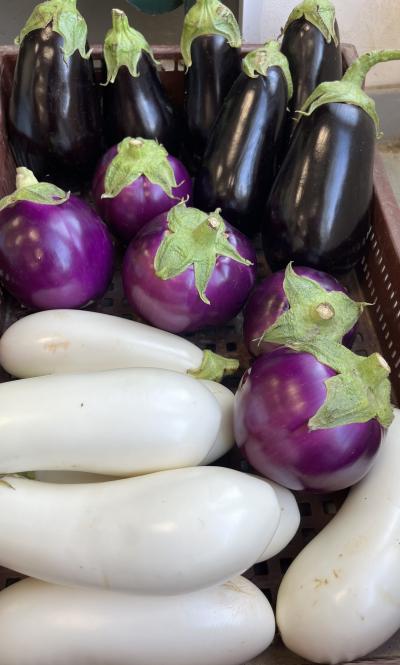 Aubergines